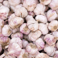 Fresh garlic for sale at farmers market