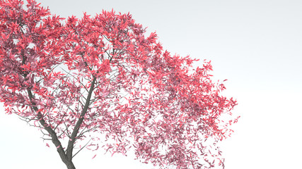 Growing Tree in a shape of Heart. Alpha Channel. 3D rendering.