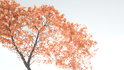 Growing Tree in a shape of Heart. Alpha Channel. 3D rendering.