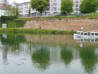 the river thames