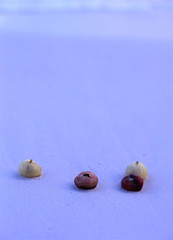 ニューカレドニア 早朝の海岸にて2　New Caledonia early morning on the shore2