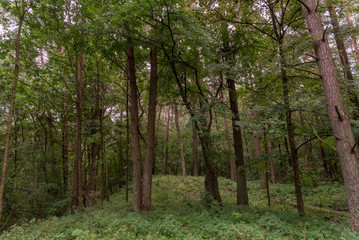 Grodzisko Jaćwieskie nad rzeką Marychą, rezerwat przyrody Pomorze