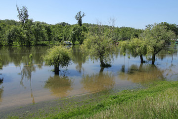 River flooding after rains, flooding of trees and the coastal zo