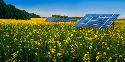 Great panoramic view of Rape Field with solar panel
