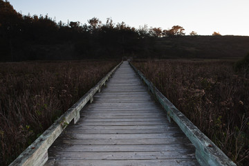 Obraz premium wooden path through a marsh