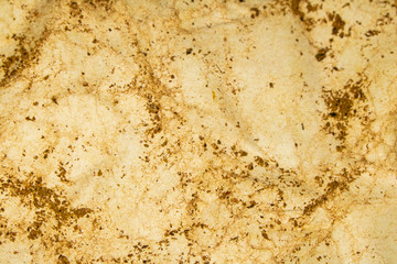 Textured Brown tea Leaves Rough paper Multicoloured Background