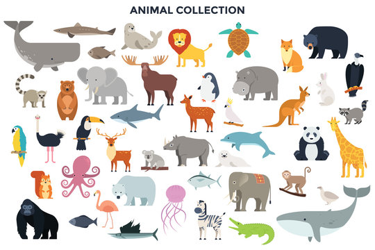 Animal Cartoon Images – Browse 3,440,486 Stock Photos, Vectors, and Video |  Adobe Stock