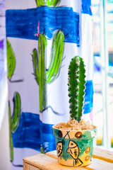 Porcelain vase with cactus