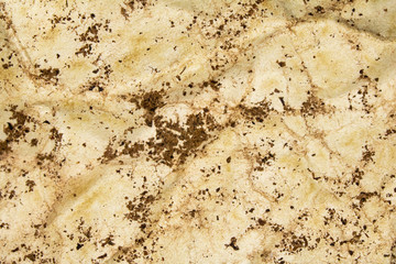 Textured Brown tea Leaves Rough paper Multicoloured Background