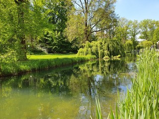 lake in the park