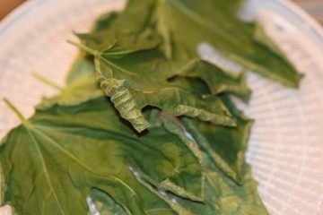 Dehydrated Fig Tree Leaves for Tea