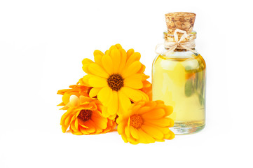 Glass bottle of calendula essential oil with fresh marigold flowers isolated on white background. Aromatherapy marigold oil herbal medicine background concept with copy space - obrazy, fototapety, plakaty