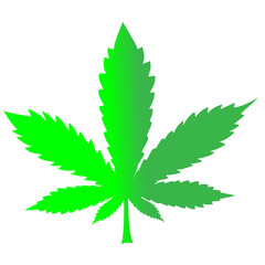 marijuana , cannabis logo graphics. Cannabis sign icon. Vector icon