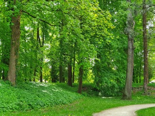 Umwelt Wandern, Jogging, Spielplatz