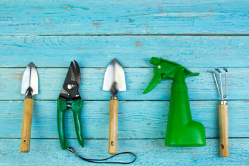 Composition with flowers and gardening tools on the wooden background with space for text