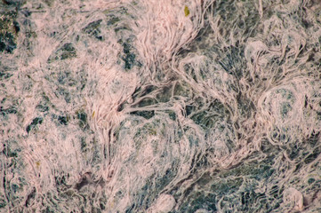 Pink texture of polluted water
