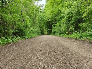 road in the woods