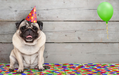 frolic smiling birthday party pug dog, with confetti and balloon, sitting down celebrating, on old wooden backgrond