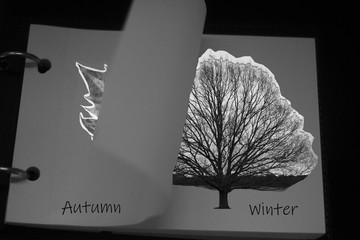 notepad with photo collage of a tree on a white background symbolizing winter
