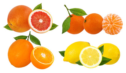 Fresh citrus collage isolated on white background  with clipping path