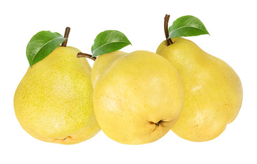 Fresh pears with leaf isolated on white background