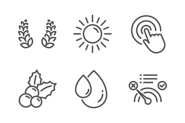 Click, Laurel wreath and Oil drop icons simple set. Sun, Christmas holly and No internet signs. Cursor pointer, Laureate reward. Line click icon. Editable stroke. Vector