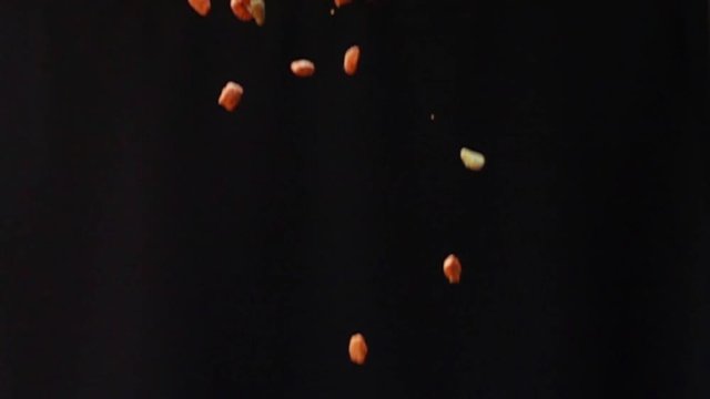 Dry kibble dog food fall down to the floor on black background in Slow Motion