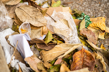leaves and trash on a street gutter