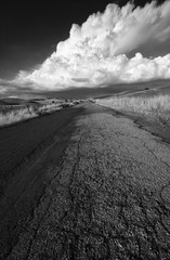 backroad through farms near paso robles california