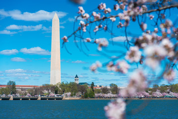 monument in washington dc usa