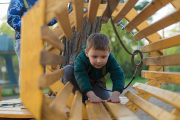 Little boy in a rope park. Active physical recreation of the child in the fresh air in the park. Training for children.