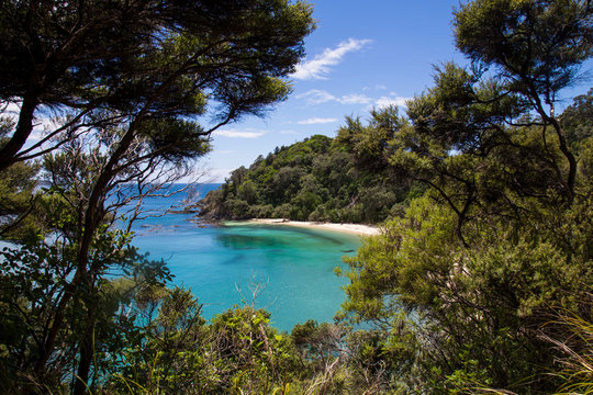 View through the trees walking down to Whale Bay. Glorious white sand beach with warm, clear turquoise water. Near Matapouri, Tutukaka coast, Northland. Only accessible by foot or boat. Secluded.