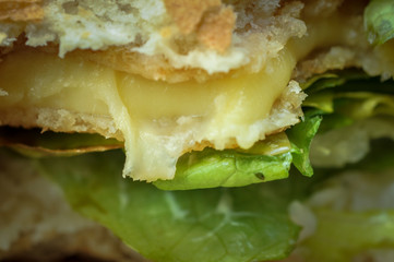 Very tasty burger with cheese and lettuce. Fast food.