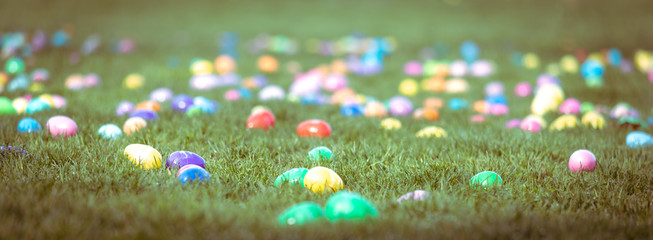 Lots of Colorful Easter Eggs Scattered in Green Grassy Field