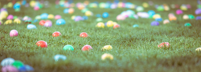 Lots of Colorful Easter Eggs Scattered in Green Grassy Field