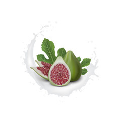 Red and Green Fig. Realistic 3d Figs With Splashing Milk. Detailed 3d Illustration Isolated On Purple with Yogurt Splash. Design Element For Web Or Print Packaging.