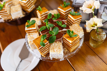 Pieces of Napoleon cake on a white plate on a wooden one . Russian cuisine, layer cake with cream. Decorated with icing sugar and pieces of fresh mint. Dessert of puff cake