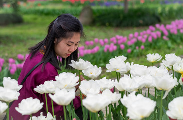 Unspecific woman is looking photo with the tulip fields in the part of garden.