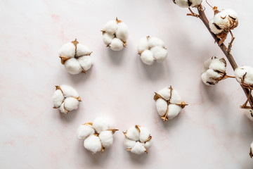 Cotton flowers on grey marble background flat lay top view
