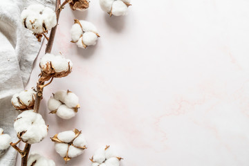 Cotton flowers on white marble background flat lay top view