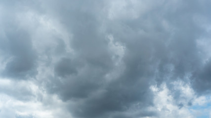 雲