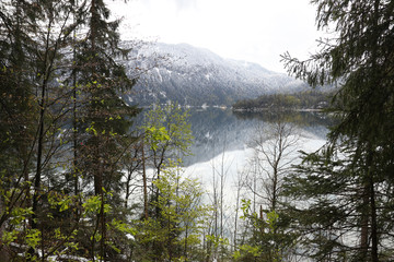 Beautiful reflection of the lake Eibsee in Bavaria, Germany