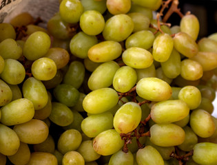 Exquisite green grapes that form an attractive texture