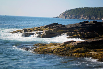 Fototapeta na wymiar Ocean Path Cliff, Acadia National Park, Bar Harbor Maine. Walking path along the ocean. Lots of rock formations, plants, waves and wildlife along this beautiful path.