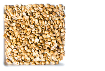 Peanut on isolated white background.