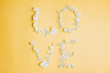 Spring flowers. White jasmine flowers