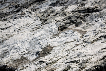 Large Rocks with Striations and Grooves on the Shore Path Bar Harbor Maine Unique rocks with interesting and intricate textures. Beautiful path along the Atlantic ocean featuring all types of rocks.