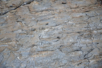 Large Rocks with Striations and Grooves on the Shore Path Bar Harbor Maine Unique rocks with interesting and intricate textures. Beautiful path along the Atlantic ocean featuring all types of rocks.