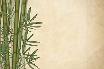 Bamboo tree background