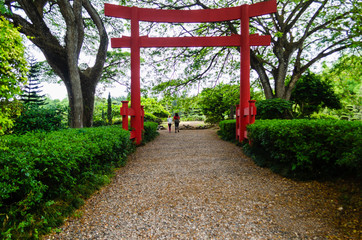 Fototapeta na wymiar beautiful torii gate in Japanese garden contracting with the green of nature
